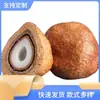 Fruta Bodhi Fruta Coração de Buda Semente original da Malásia cor de fruta velha pingente de colar de fruta grande cabo vermelho da fruta original