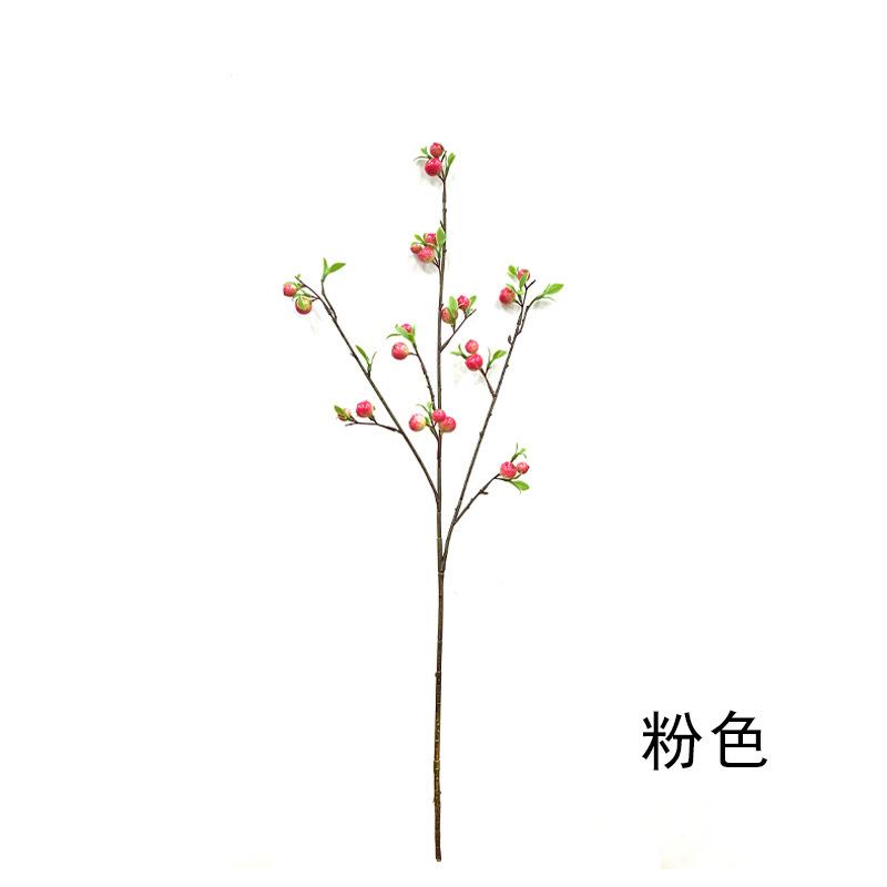 小苹果 (2).jpg