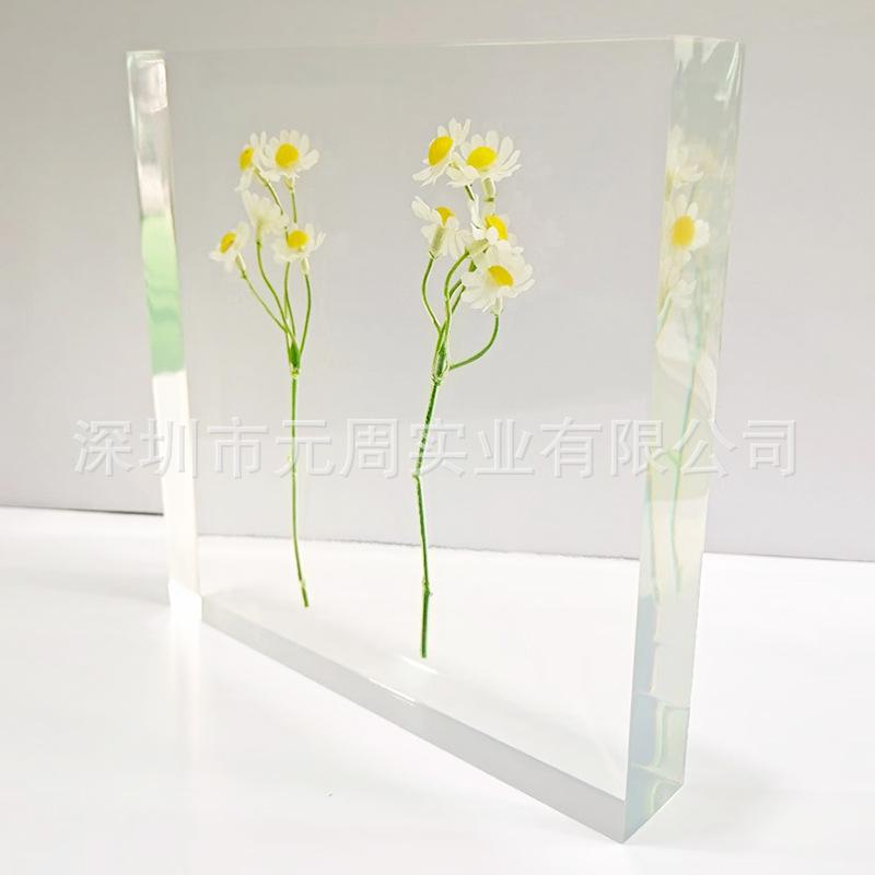 透明水晶胶礼品树脂内埋昆虫工艺品彩灯礼盒款摆件教学件展示用品