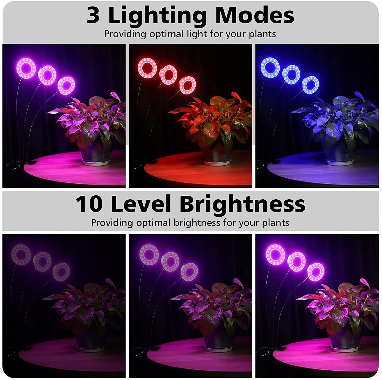 71O9Kh72IQL._AC_SL1500_