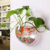Huaqiu Maceta Acrílica de Pared Elevadora de Agua Verde Transparente Decorativa para Pegar en la Pared Semicircular Utensilios Mobiliario Creativo para el Hogar