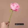 Peônia Artificial de Haste Única Estilo Europeu Sem Folhas Decoração para Corredor de Casamento Adereços de Fotografia Parede de Flores Flores Artificiais Atacado