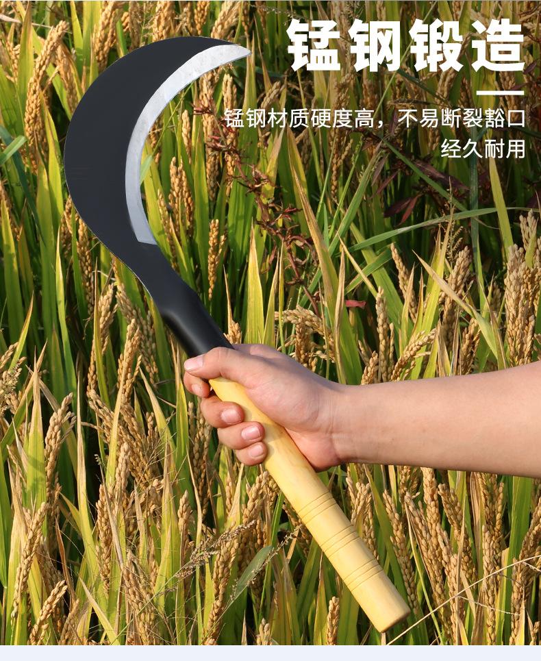 镰刀 (4).jpg