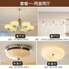 Luminária de Teto para Quarto Antigo Médio Estilo Francês Creme Lâmpada Retro para Quarto Principal Novo Lâmpada de Vidro Tarte de Ovo para Estudo