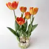Bulbos de Flor de Narciso, Plantas de Interior Resistentes al Invierno Cultivadas en Agua en Maceta, Narcisos de Pétalos Dobles Que Florecen al Exponerse al Agua