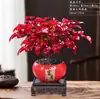 Nandina Flame Vaso Folhagem Pequeno Bonsai Fácil de Manter e Viver Resistente ao Frio Plantas Verdes Estudo Mesa de Chá Zen Micro Paisagem