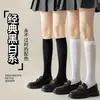 Calcetines de terciopelo para mujer de media pantorrilla primavera y otoño seda de hielo hasta la rodilla calcetines largos jk presión adelgazantes calcetines de pantorrilla negros y blancos