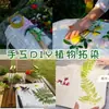 Planta golpear extensión teñido graffiti tema planta martillo juguete de jardín de infantes Niños diy hierba y madera material agente fijador
