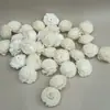 Accesorios de Aromaterapia Hechos de Hierba Natural sin Núcleo, Varillas Difusoras de Flor de Crisantemo, Varillas Aromáticas de Flor Artificial para Decoración, Venta al por Mayor