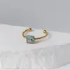 Anillo Popular Multicolor de Flores Reales Transfronterizo Amazon Acero Inoxidable Chapado en Oro Anillo de Flores Secas Joyería Manual Creativa Retro con Pegamento