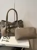 Bolso de Mano Pequeño de Moda y Tendencia para Mujer, Nuevo Bolso Cruzado Versátil Primavera/Verano 2026 con un Toque de Lujo para Salidas