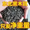 Hongos Negros del Noreste Productos Secos Grado Especial Silvestre 500g Primer Grado Especialidad de Heilongjiang Oreja de Madera Seca Otoñal Oreja de Cuenco No Pequeña Sin Raíz