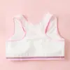 Sutiãs Esportivos Atacado Sem Algodão para Meninas Adolescentes em Estoque, Design Anti-Impacto, Camisetas Regata para Meninas Estudantes