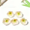 Cabeza de Flor de Amapola Simulada de 7 cm, Decoración de Flor Falsa, Exhibición Decorativa, Decoración de Set de Boda, Accesorios de Fotografía