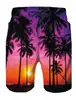 Europa e Estados Unidos transfronteiriços novos shorts de chama para comércio exterior impressão digital 3D moda casual shorts de praia masculinos