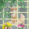 Plataforma de salto para gatos no ocupa pared de cristal estante de escalada para gatos pequeños plataforma de salto para gatos montada en la pared plataforma de salto para gatitos estante de escalada para gatos