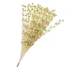 Decoración navideña bola dorada racimos de pistacho racimos de bayas doradas esquejes dorados tenedorcito flor artificial hilo de pez fruta