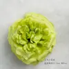 Grande Martin Austin Rosa Flor Artificial Cenário de Casamento Parede de Flores Acessórios para Headpiece Decoração Floral DIY para Casamento
