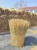 Decoración de Tejado de Granja Cortina de Paja Paja Seca Hierba para Mascotas Tejado de Paja Natural Paja