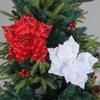 Nueva Flor de Navidad al por Mayor Hong Kong Amor Adornos para Árbol de Navidad Rojo, Blanco y Amarillo Flor Artificial Tricolor Decoraciones para Fiesta al por Mayor