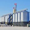 Silo de Aço para Grãos de 2000 Toneladas, Tanque de Armazenamento de Grãos Galvanizado para Armazenamento de Grãos em Granja de Suínos, Silo Vertical para Arroz e Trigo