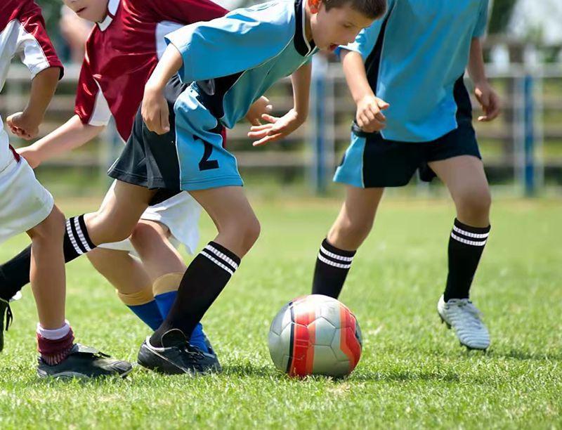 微信图片_20211219172908_副本