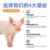 Alimento para Lechones Mezclado con Alimento Inicial para Lechones, Croquetas Pequeñas Fragantes Trituradas para Cerdos, Alimento Completo para Cerdos, Pollos y Perros