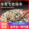 Arroz Integral Sete Cores do Nordeste Arroz Novo da Estação Grãos Múltiplos e Cereais Diversos Refeição Leve Baixo Teor de Gordura Substituição de Refeição Cereal Mingau de Arroz Combinação de Grãos Grossos Fitness