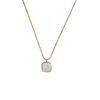 Collar de Concha de Lujo Ligero de Nicho para Mujer Cadena de Clavícula Delicada Elegante de Nácar Japonesa y Coreana Joyería de Moda de Gama Alta