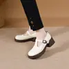 Zapatos Mary Jane de punta redonda para mujer, otoño 2026, diseño calado con hebilla de tira en T, tacón grueso, zapatos de cuero para mujer estilo universitario vintage