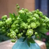 Dropshipping Sucos Varanda Mudas de Rosa Rosas Florindo Flores em Vasos Plantas Trepadeiras Cipós Rosa Plantas Verdes