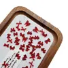 Joyería para Uñas Lazo Ámbar Mini Lazo Maillard Lazo de Resina Rojo Otoño e Invierno Color Café Corbata de Lazo Joyería para Uñas