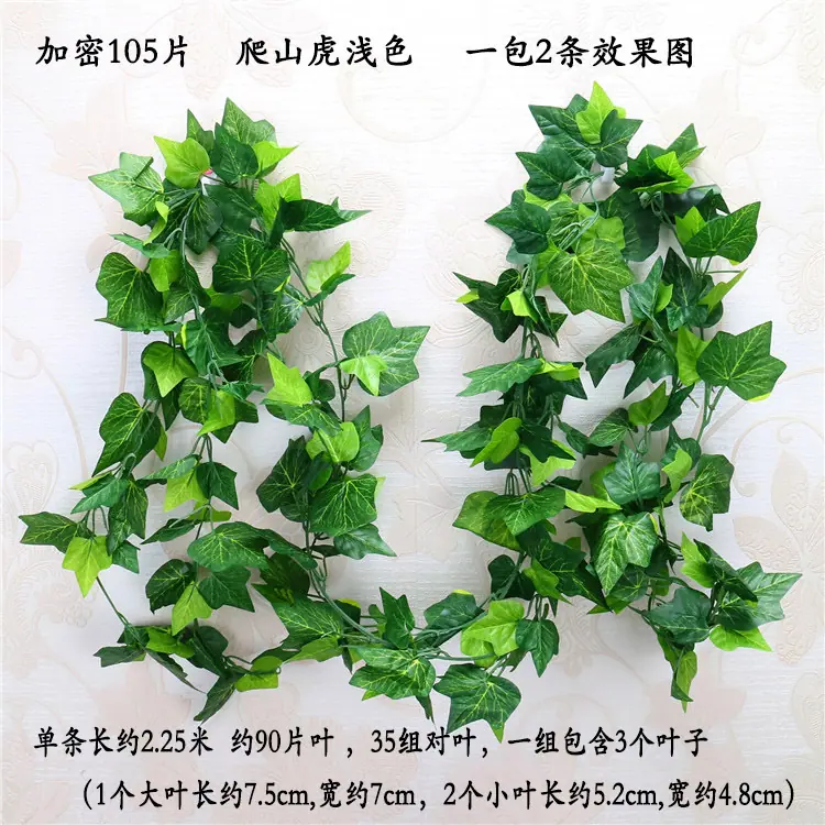 加密105片 爬山虎 浅色  宋体.jpg