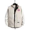 Chaleco Juvenil Camuflaje Transfronterizo Cuello Alto Exportación Plumón de Ganso Algodón Chaleco Ebay Otoño Chaqueta sin Mangas Tendencia Wish