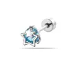 Nuevos Pendientes Henson Estilo Ins Deslumbrantes Exquisitos Barra de Tornillo de Doble Extremo para Perforación de Hueso del Oído
