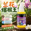 Spray Estimulante de Raíces para Orquídeas: Un agente especial estimulante de raíces para orquídeas que fortalece las raíces, promueve la floración y nutre las raíces