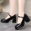 2026 Primavera/Verão Novos Sapatos Mary Jane Confortáveis Casuais de Comércio Exterior Salto Bloco Sapatos Pequenos de Couro Bico Quadrado Baixo Corte Sapatos de Uma Sola Transfronteiriços