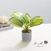 Flores Artificiales y Plantas Verdes, Bonsái Pequeño, Adornos Pequeños Creativos, Productos de Moda, Venta Directa de Fábrica de Jinhua, Entrega de Flores, Plantas Artificiales en Maceta