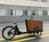 Coche E-Coche Mascota Madre e Hijo Montando un Burro Triciclo Beclrgjivhiicaeo Carga Bicicleta Eléctrica Asistida