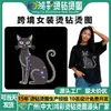 Hongcai Transferência de Calor Transfronteiriça Exquisite Gato Padrão de Strass Adesivos de Strass DIY Aplicação com Ferro Estampa de Strass Fabricante Personalizado