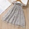 Comércio Exterior Verão Novo Estilo Coreano Vestido de Renda Bordada em Mesh para Meninas Bebê Menina Saia de Gaze Super Fashion Princesa Vestido