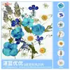 Paquete de Materiales DIY de Flores Secas Flores Prensadas Hechas a Mano Flores Conservadas Marcadores de Libros de Flores Prensadas Hojas de Árbol Real Plantas Pegatinas de Resina Maquillaje Facial