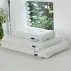 Modelo Nuevo 2026, Siempre en Stock, Núcleo de Almohada Plano Bajo de Algodón Puro Clase A No Fluorescente