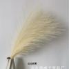 Celebridad de Internet Flor de Caña Simulada Estilo Escandinavo Hierba Pagana Artificial Flor Artificial Flor Falsa Pluma Colorida Transfronterizo Amazon