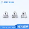 Fabricante de Porcas de Flange Atacado Porcas de Flange Galvanizadas Cabeça Semi-Redonda Porcas Cegas Tipo Tampa Totalmente Metálicas