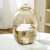Vaso de Vidro Monstera de Luxo Leve Ornaments Relógio de Parede Hidropônico Salgueiro da Neve Madeira de Cavalo Cultura em Água Arranjo de Flores Decoração de Chão para Sala de Estar