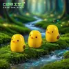 Mini terrário, jardinagem com musgo, paisagismo com suculentas, ornamentos, decorações de pintinho amarelo pequeno estilo cartoon, figuras de PVC
