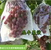 Bolsado de Frutas, Bolsas a Prueba de Insectos y Pájaros para Fresas, Bolsas Domésticas, Bolsado de Melocotones y Frutas al Aire Libre