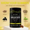 Comércio Exterior Gomas de Shilajit Ponto Cruzamento Transfronteiriço Sucesso 60 Cápsulas
