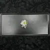 Celebridad de Internet Popular Cadena de Flor de Cuentas Tejida a Mano Flor para Zapato Moda Belleza Hebilla de Zapato de Industria Pesada Adaptada a Zapatos con Agujeros Accesorios DIY